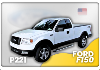 Ford F150 '04-'08 (P221)