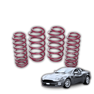 Aston Martin Vanquish '01-'07 (Gen1) Lowering Springs