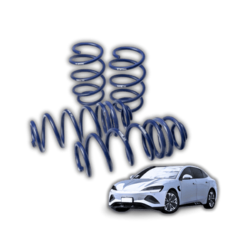 BYD Seal '22- Lowering Springs