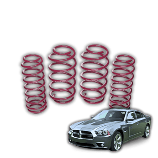 Dodge Charger '11-'23 (LD) Lowering Springs