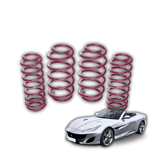 Ferrari Portofino '17-'23 (F164) Lowering Springs