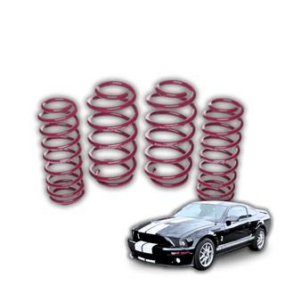 Ford Mustang '05-'14 (S197) Lowering Springs