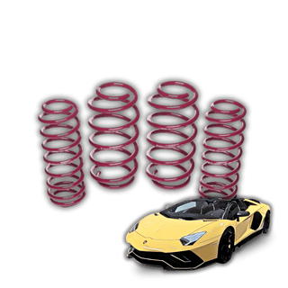 Lamborghini Aventador '11-'22 Lowering Springs